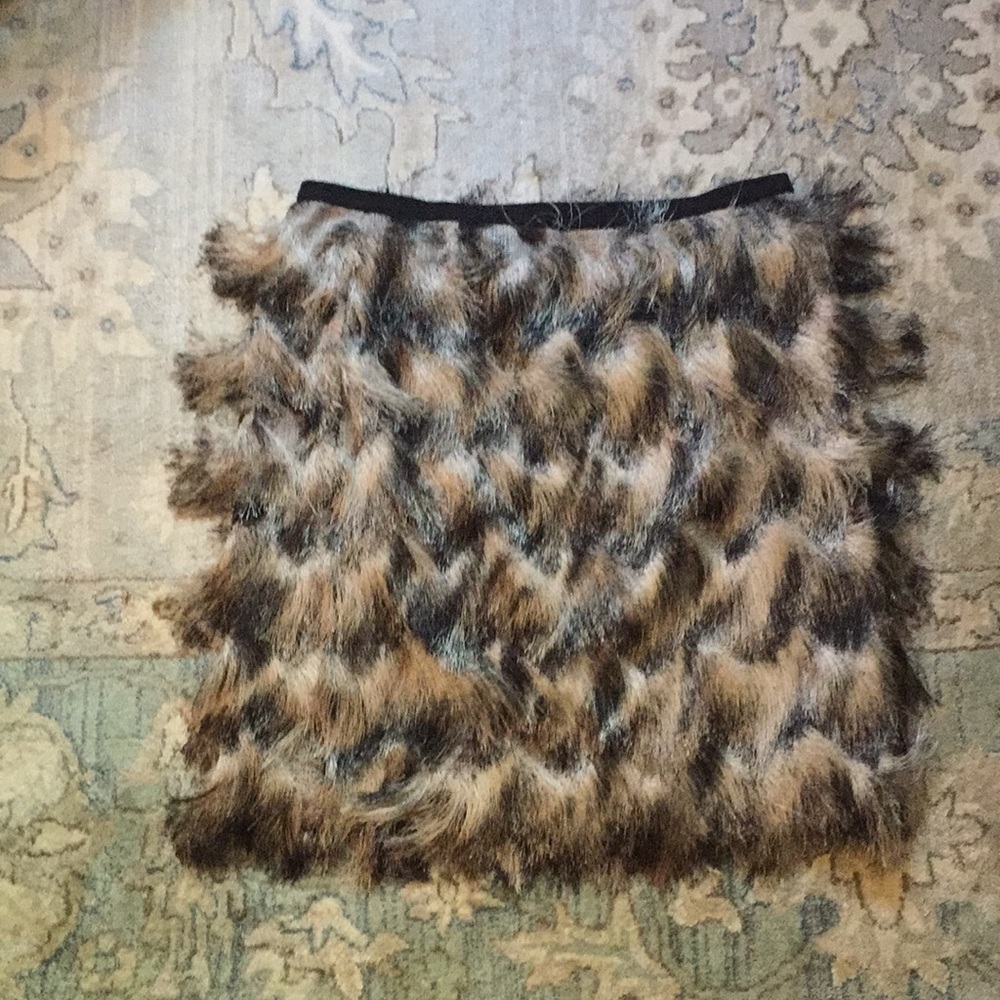 Ann taylor feather fringed skirt, 4 NWT - Picture 2 of 4